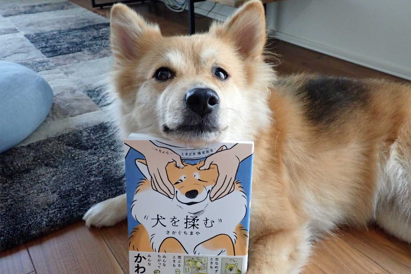 なんか笑っちゃう」犬との瞬間を漫画に。等身大の愛犬を発信する、さかぐちまやさん|ワンクォール