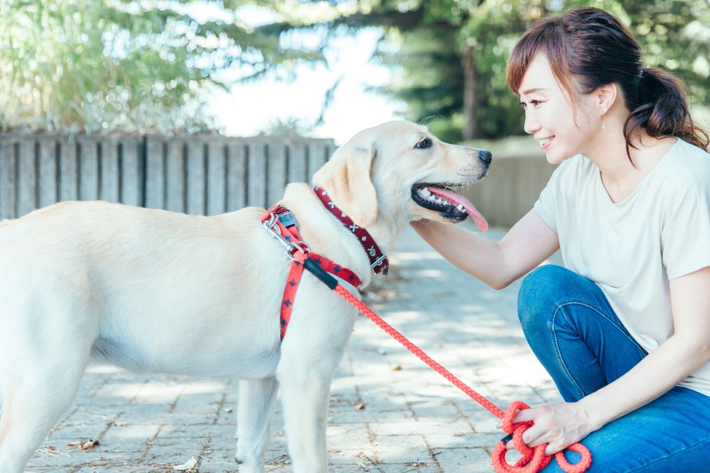 飼い主として保護犬を迎える前に知っておくべきこと