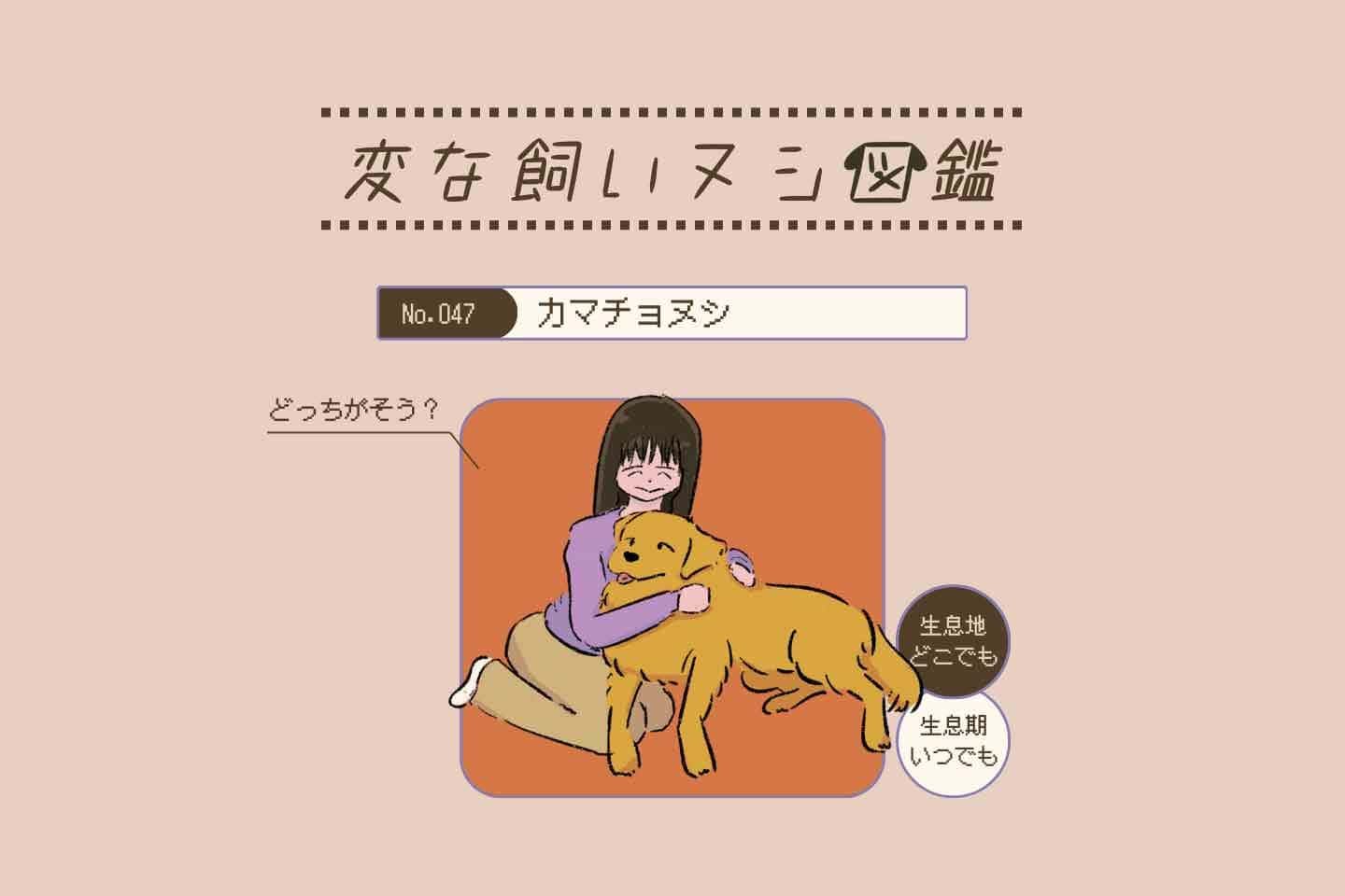 【変な飼いヌシ図鑑No.047】 愛犬の関心をひこうとする飼い主『カマチョヌシ』