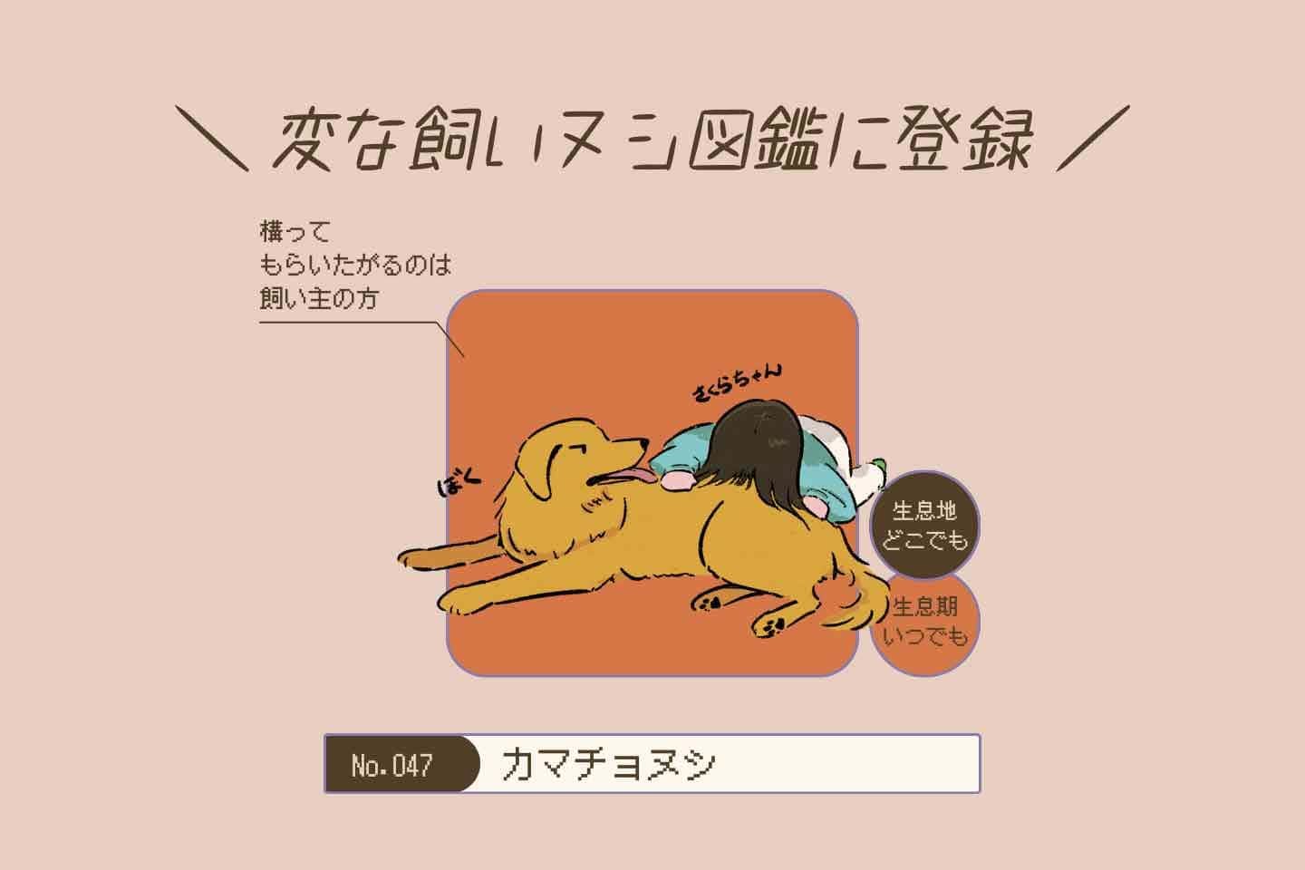 ウルオイイタダキヌシの生態《変な飼いヌシ図鑑043》 カマチョヌシの生態《変な飼いヌシ図鑑047》