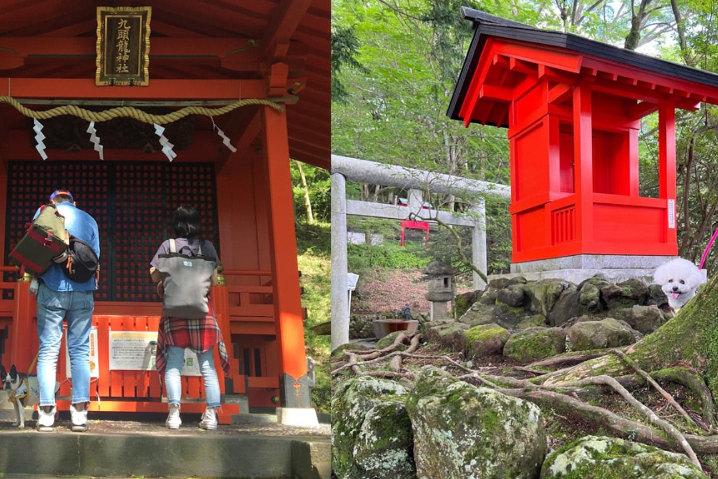 【おすすめ観光スポット】箱根のパワースポット参り『箱根神社・九頭竜神社』