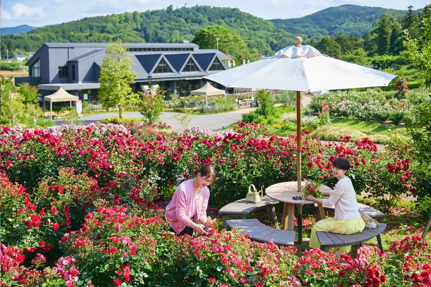 【茨城県石岡市】季節の花々、イルミネーションも楽しめる　『いばらきフラワーパーク』 