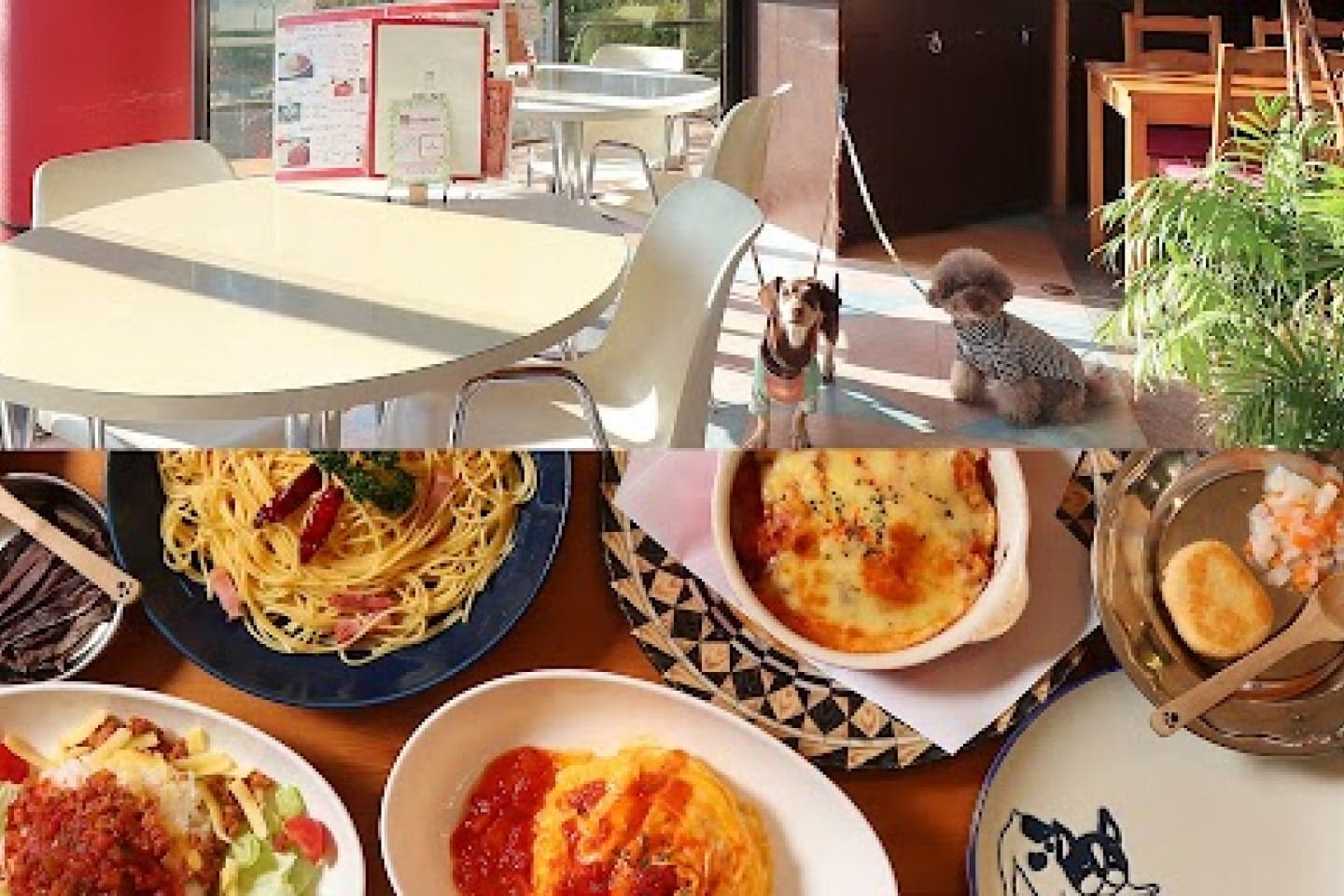 【所沢市（航空公園）】カフェも食事もお酒も『dog dafe docca（ドッカ ）』