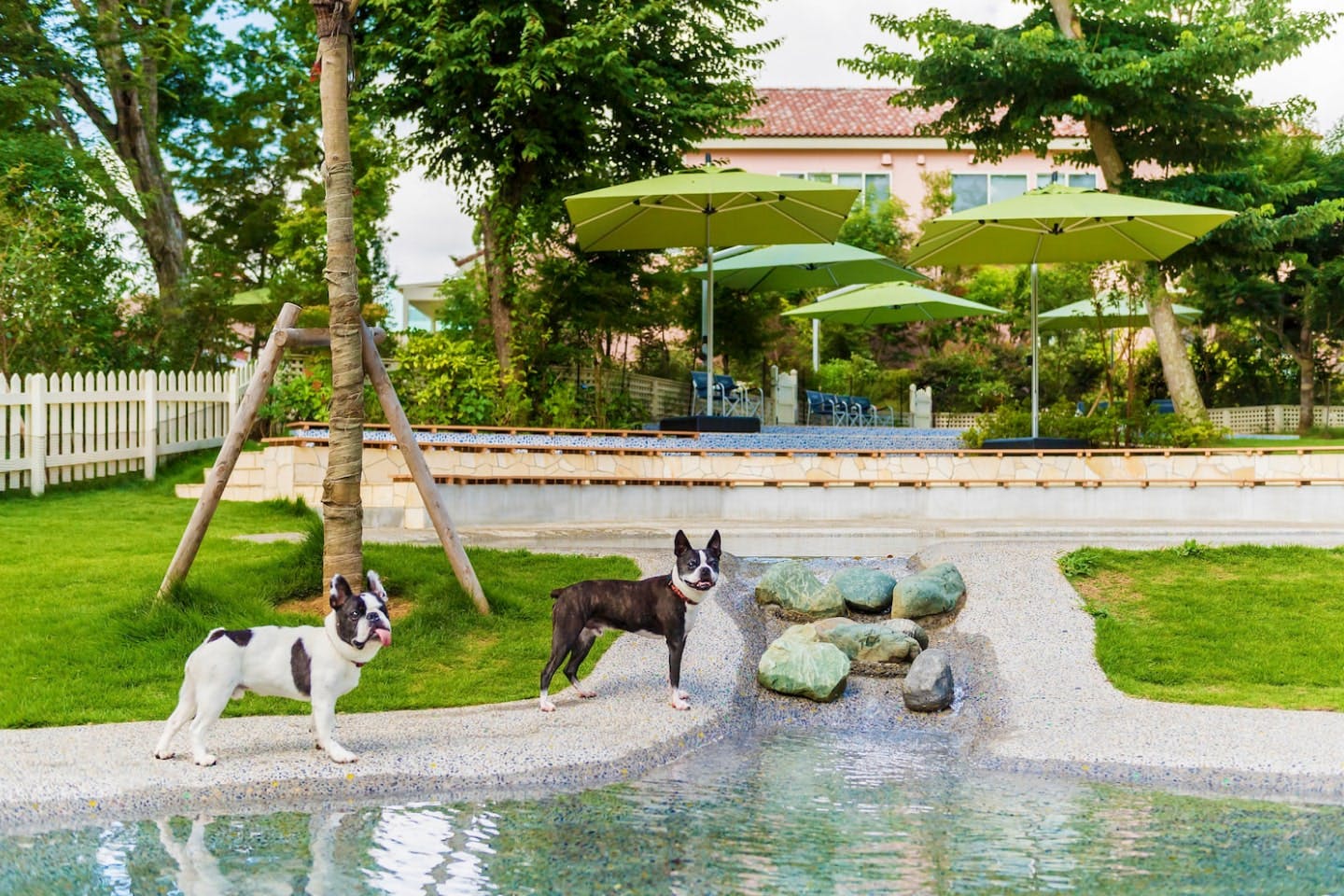 【千葉県八街市】愛犬と楽しむ最上級のリゾート『小谷流の里 ドギーズアイランド』