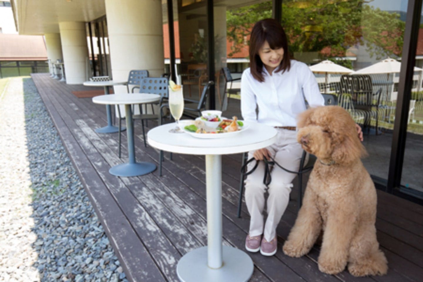 【仙石原のおすすめランチ】箱根ハイランドホテル ラウンジ