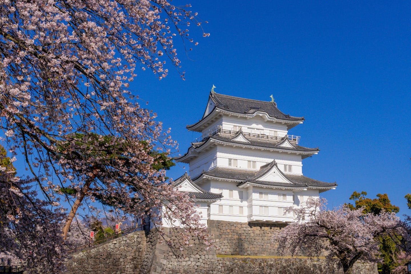 【おすすめ観光スポット】小田原城址公園