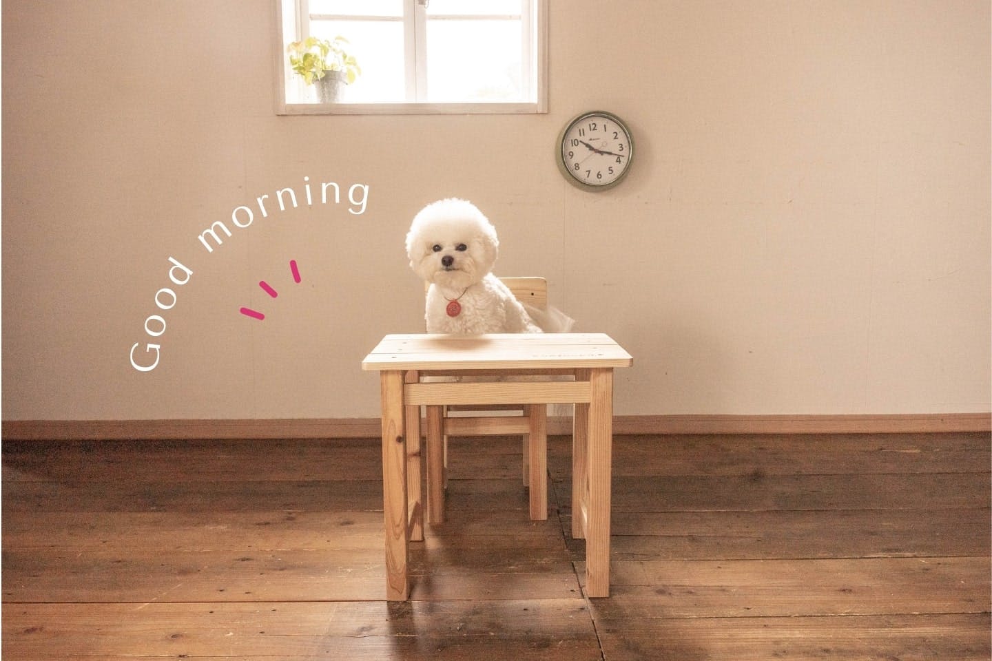 【kumimoku】超簡単！ 愛犬に使えるミニチュア家具（机とイスのセット）を、木工キットで作ってみた