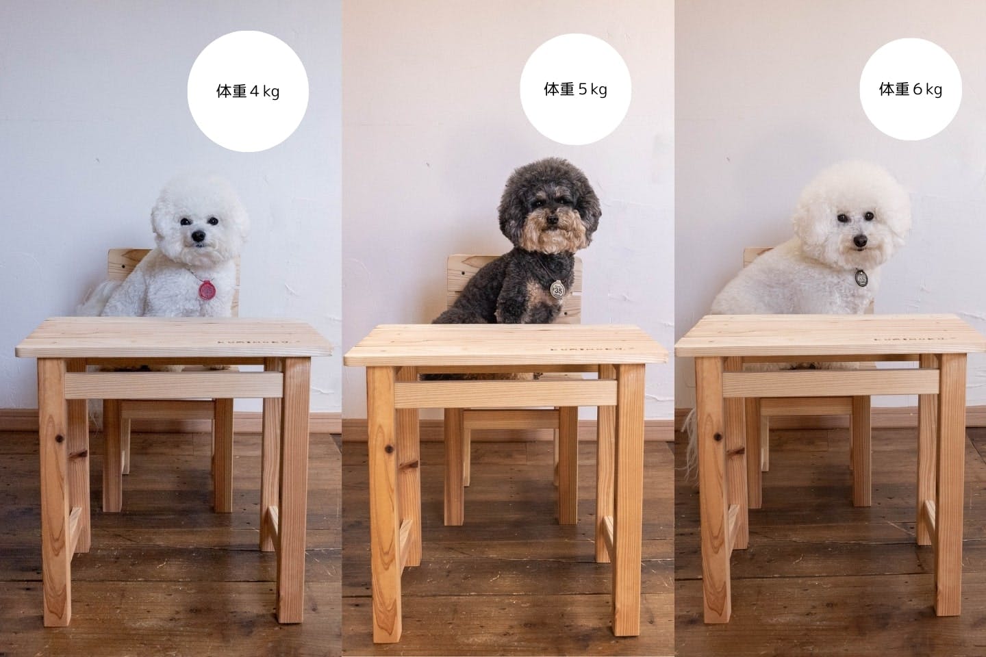 愛犬にDIYしたミニテーブル＆ミニチェアーキット　サイズイメージ