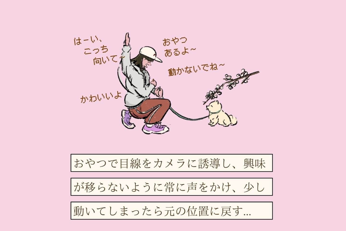 ウルオイイタダキヌシの生態《変な飼いヌシ図鑑043》 シャシントリマクリヌシの生態《変な飼いヌシ図鑑048》