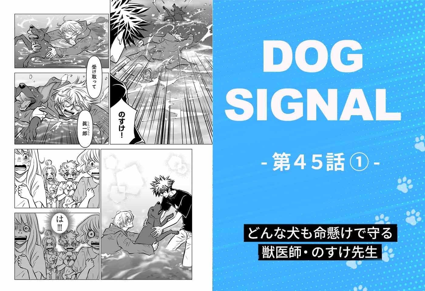 漫画『DOG SIGNAL（ドッグシグナル）』45話目1/4　どんな犬でも命懸けで守る獣医師・のすけ先生