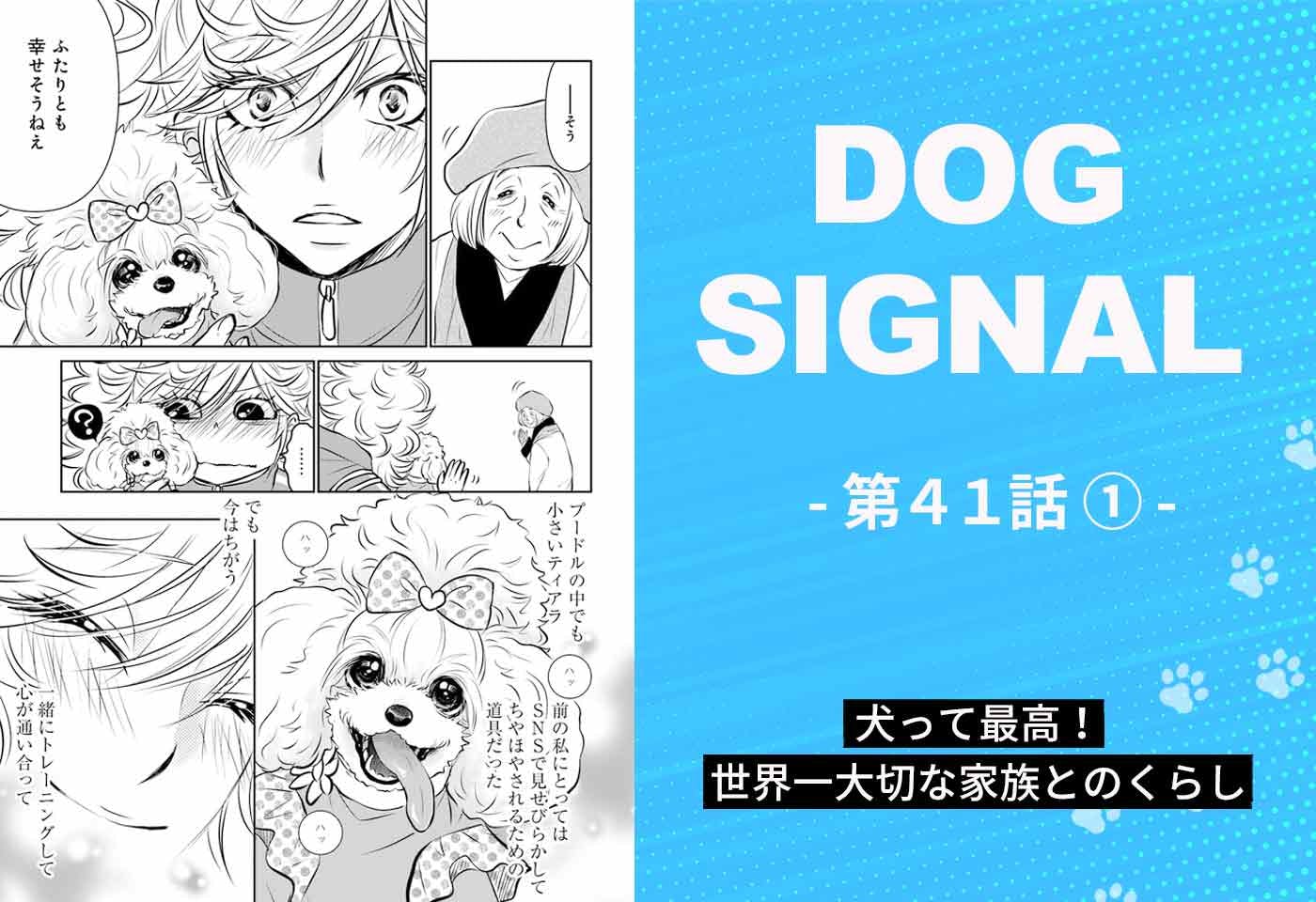漫画『DOG SIGNAL（ドッグシグナル）』41話目1/4　世界一大切な愛犬とのくらし