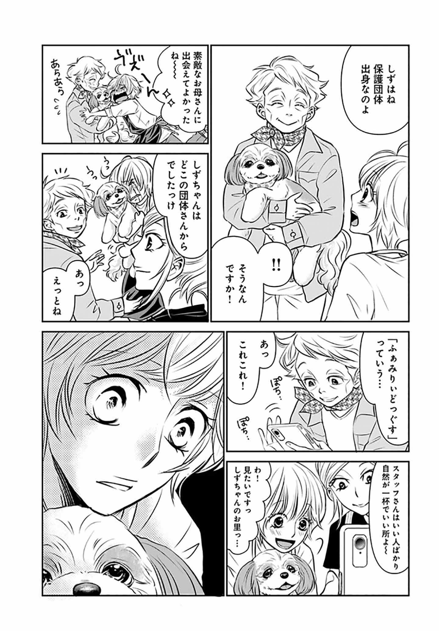 漫画『DOG SIGNAL（ドッグシグナル）』42話目1/4 先代犬に