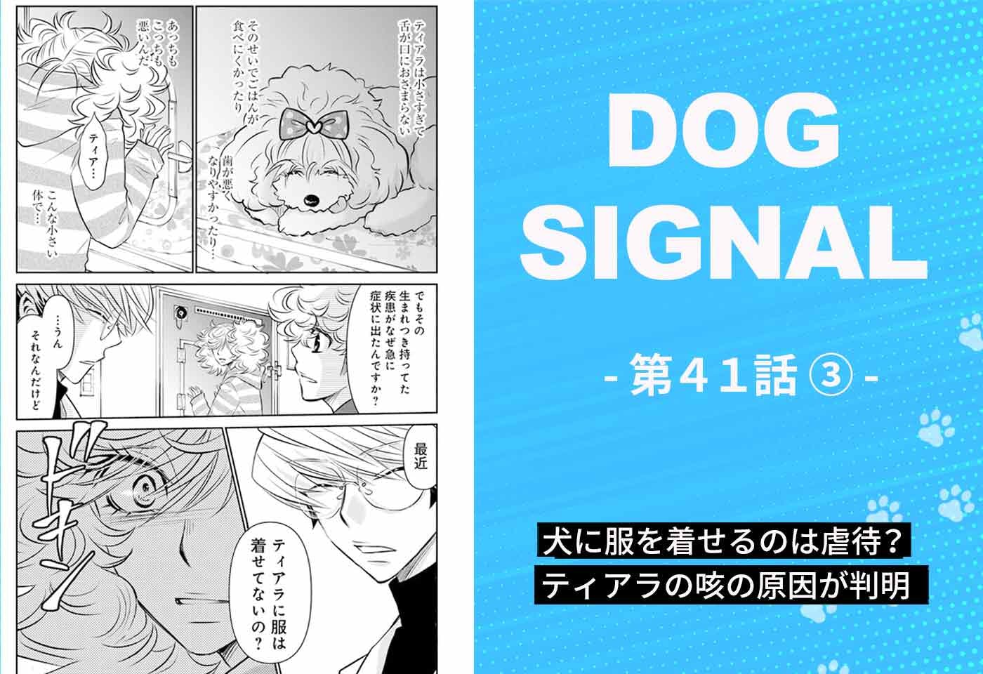 漫画『DOG SIGNAL（ドッグシグナル）』41話目3/4　犬にも服は必要？ 犬服のメリット・デメリット