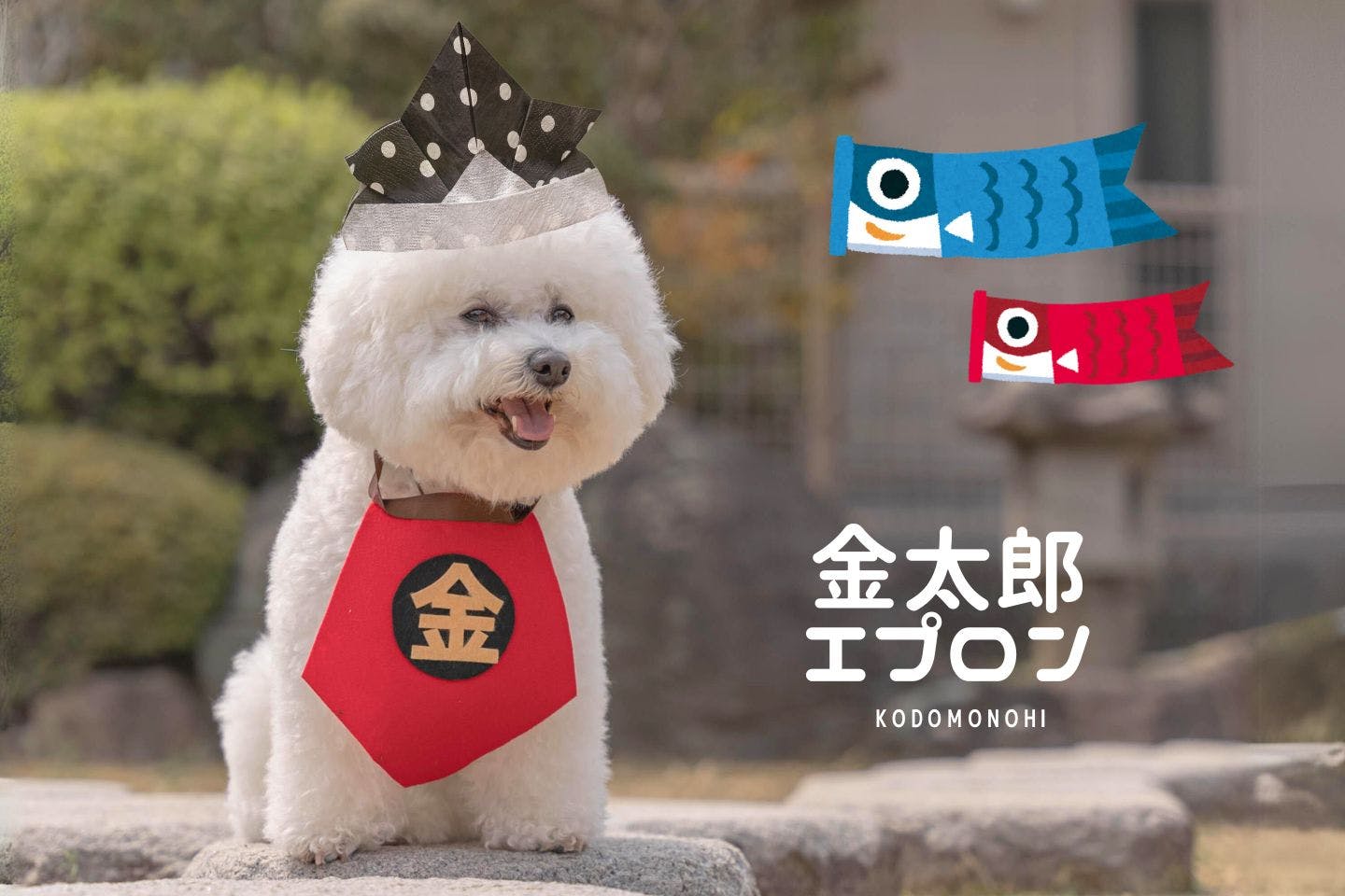 【ミシン不要】愛犬が五月人形に!? こどもの日に使える、金太郎エプロンと紙ナプキン兜の作り方