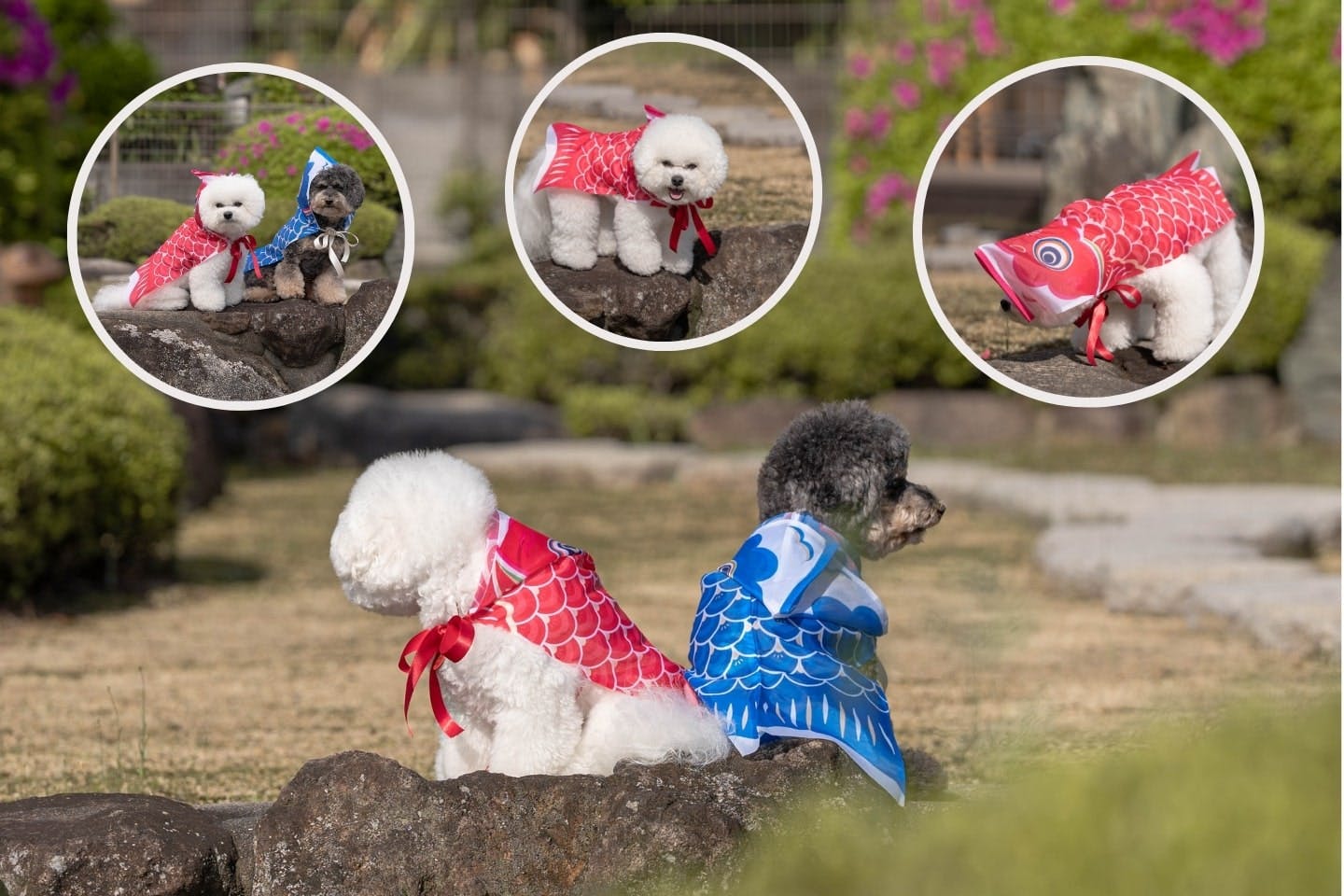 dogdiy_59_14-min
