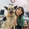 栗山宏美(獣医師)