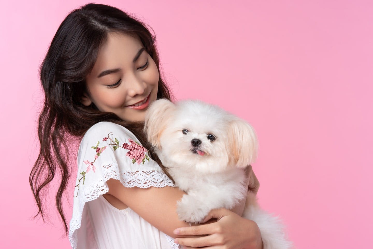 血統書付きの犬をお迎えする方法