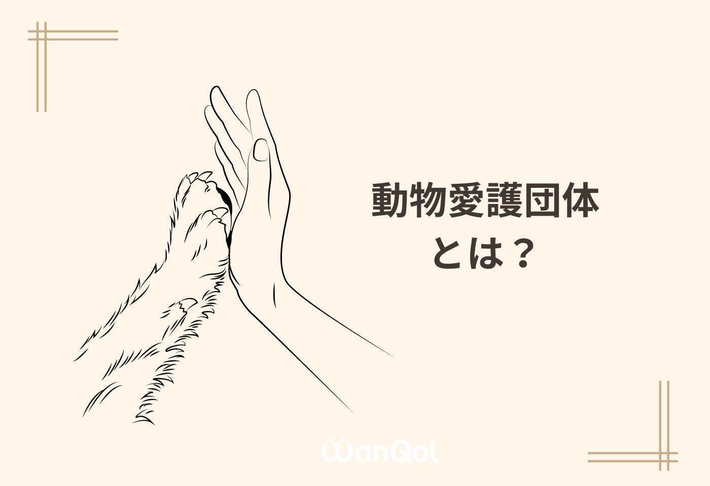 動物愛護団体とは？ 活動内容や保健所との違い、活動にかかわる方法を解説