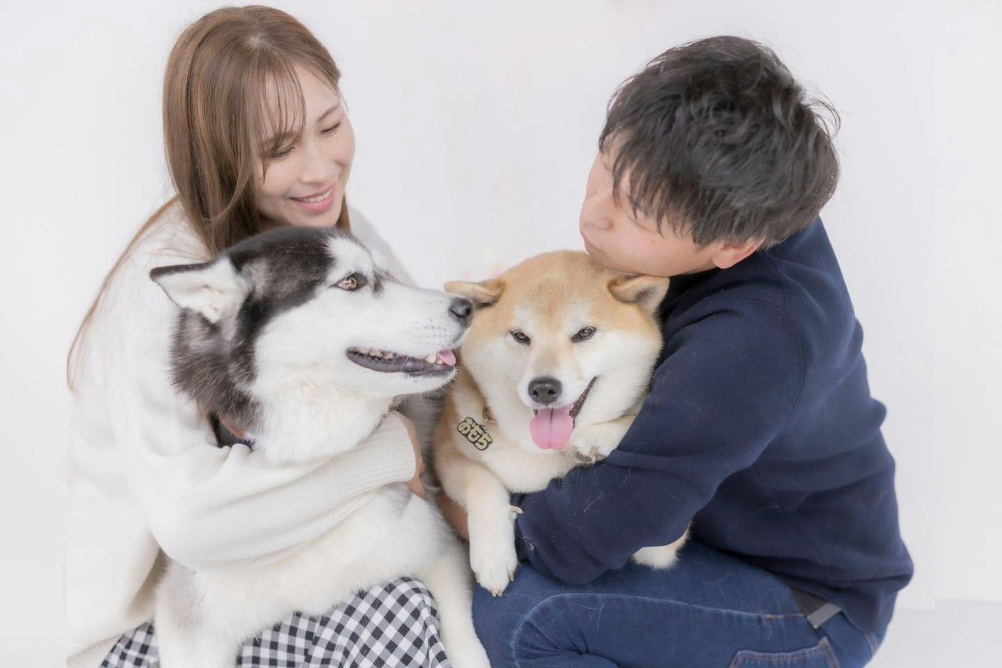 約250坪のドッグランがある、ホテルライクなくらし。柴犬×ハスキーの