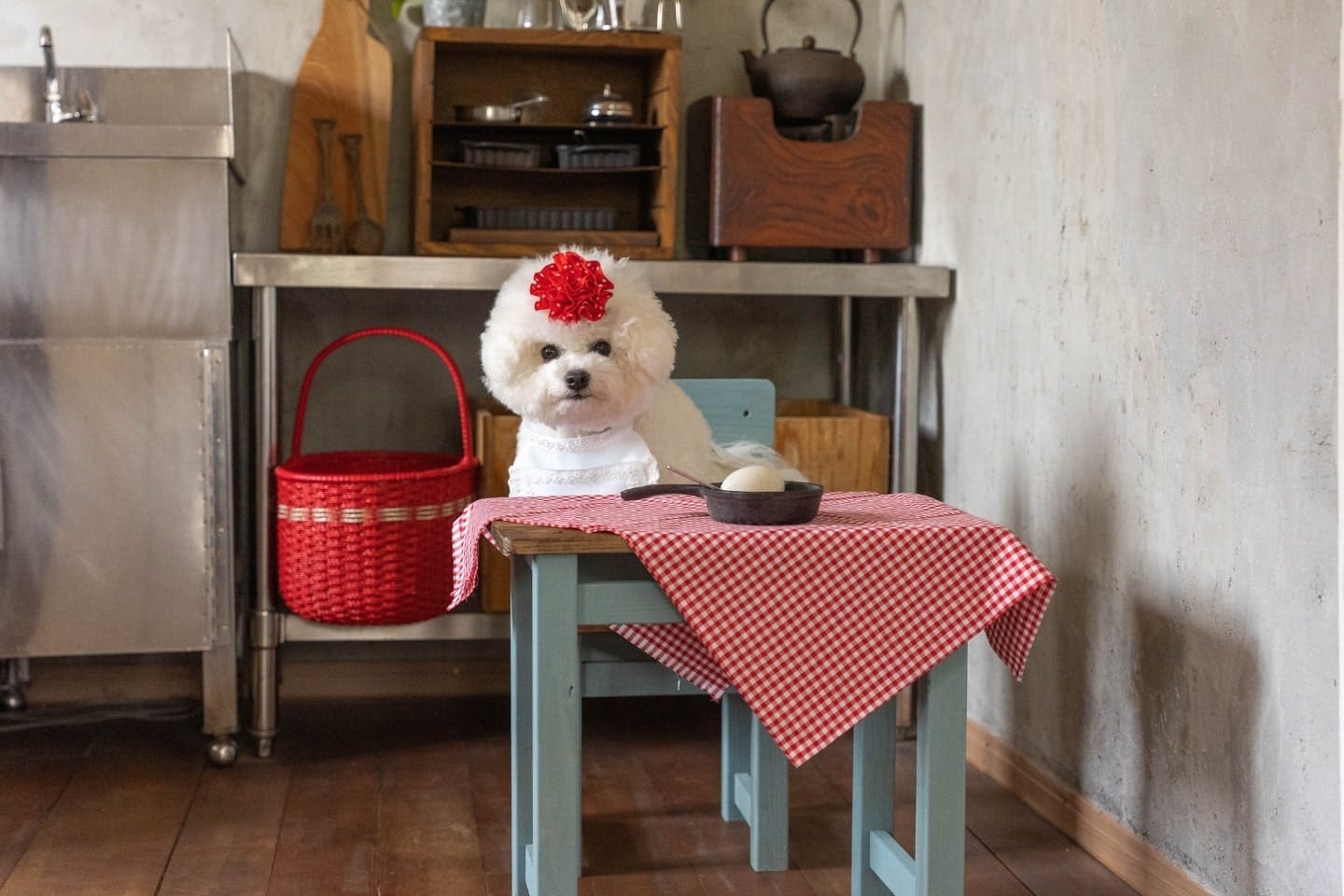 なりきりお母さんセットで、愛犬と母の日を楽しもう！