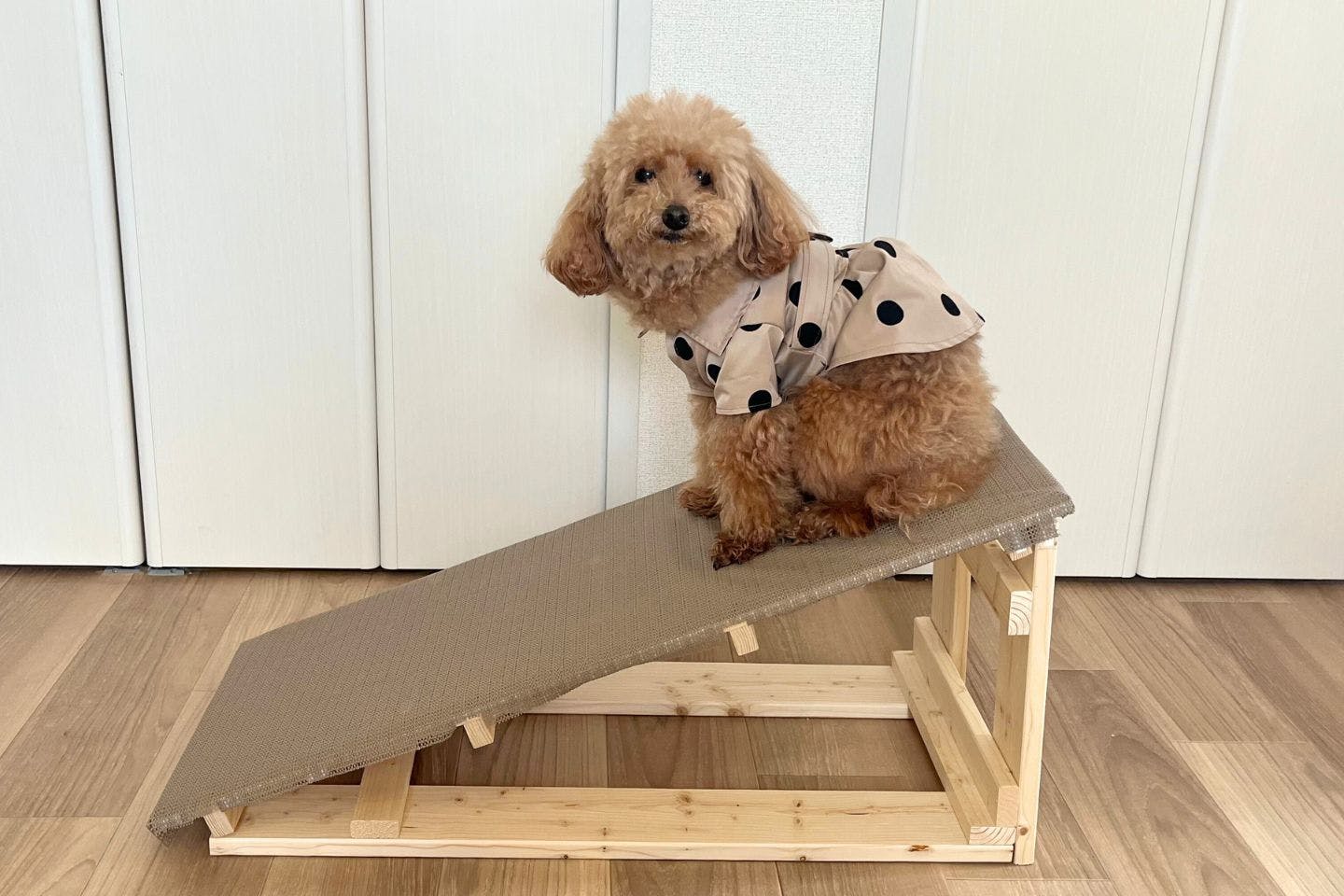 愛犬用スロープを手作り！ ホームセンターのすのこと木材だけでできる簡単DIY