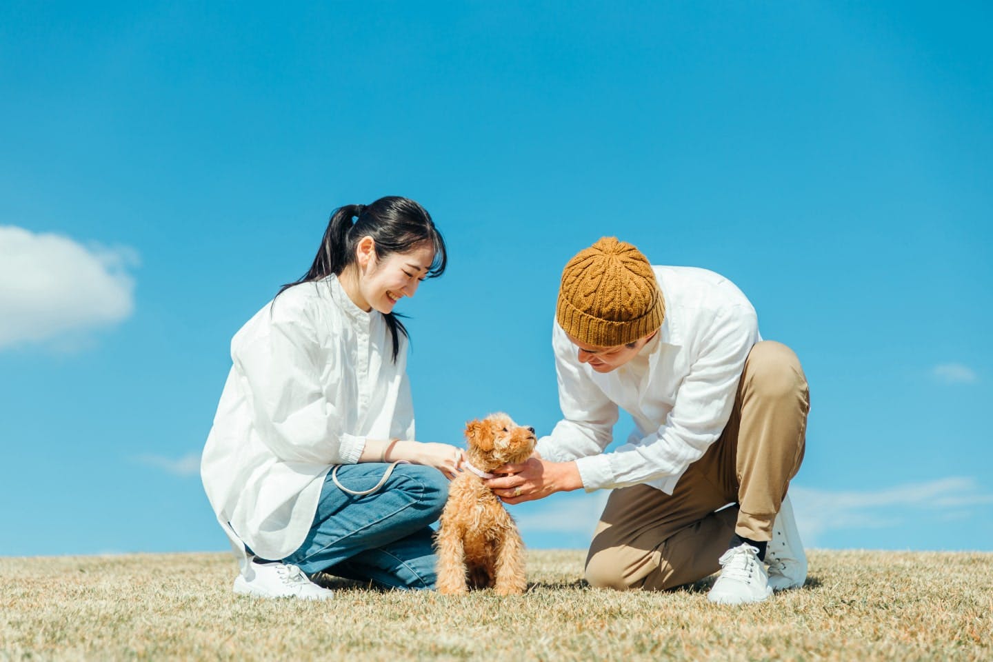 販売 ペットを飼うと朝