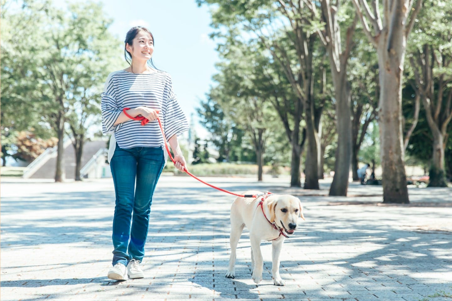 犬を飼うのに向いている人の特徴は？