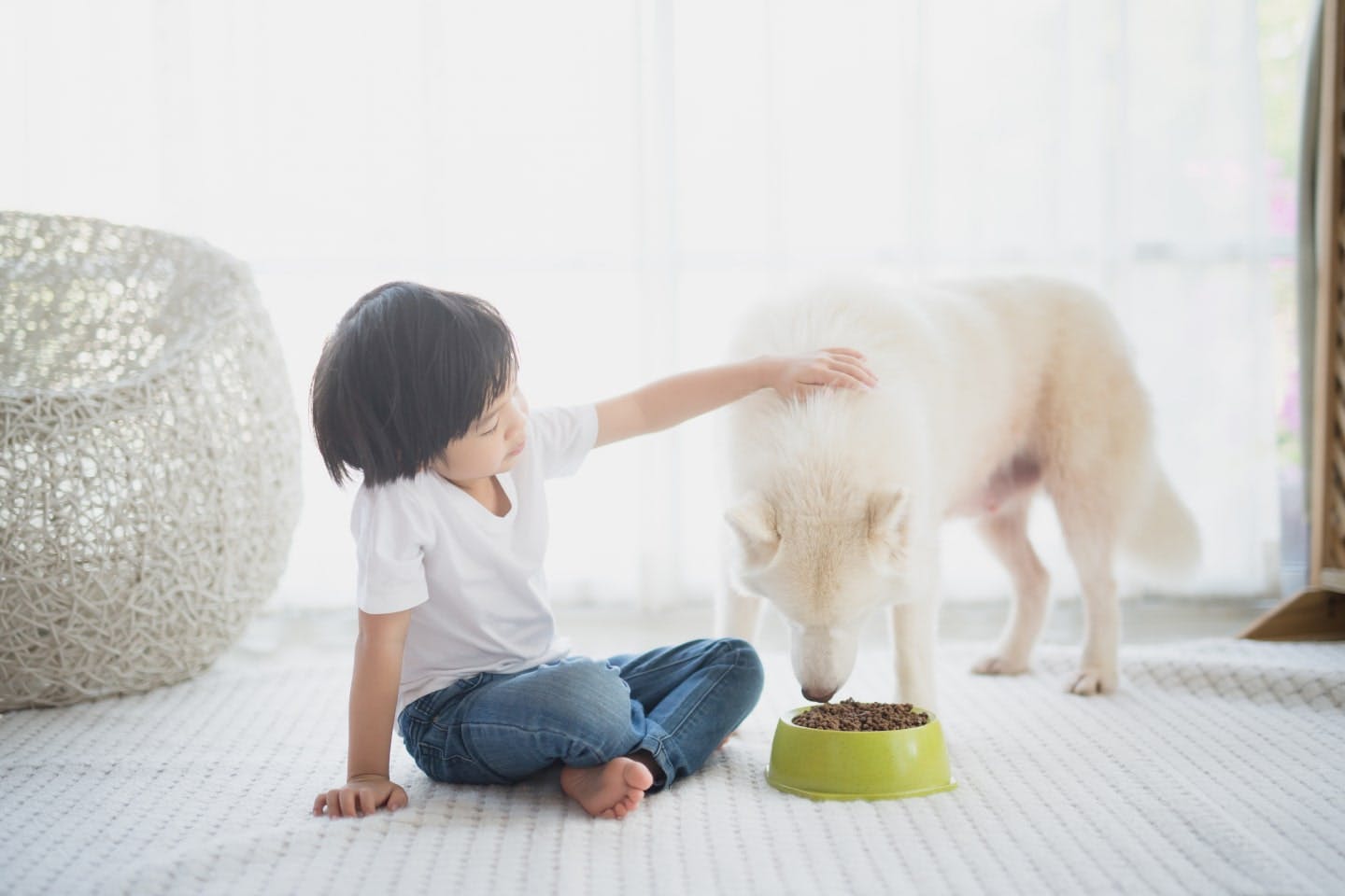 分離不安になりやすい犬種とは？気になる原因と治し方を解説