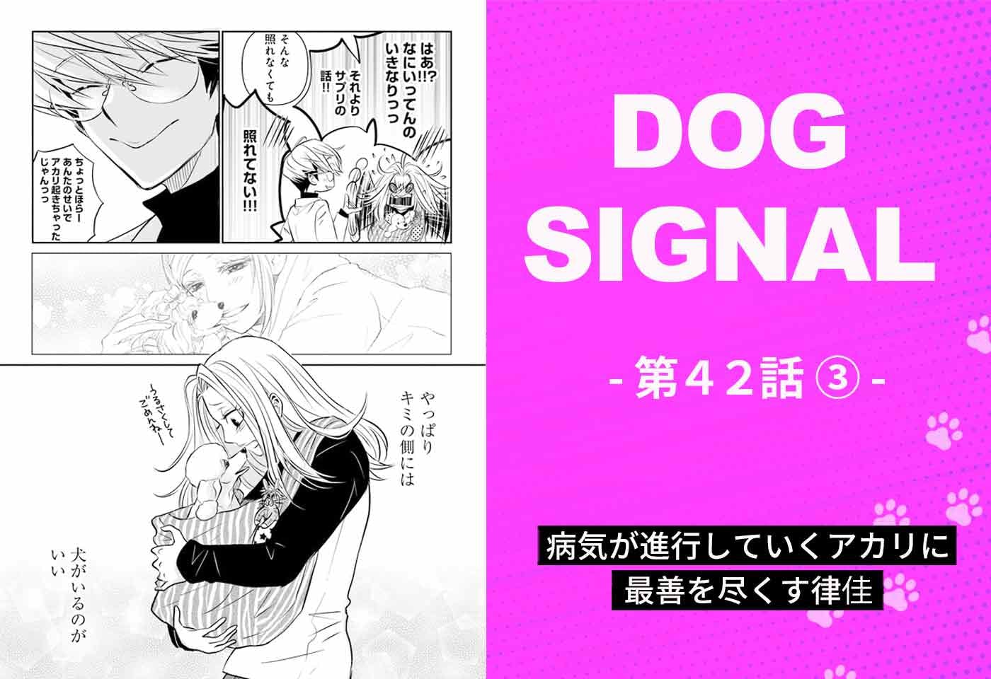 漫画『DOG SIGNAL（ドッグシグナル）』42話目3/4　愛犬の闘病生活を全力でサポート
