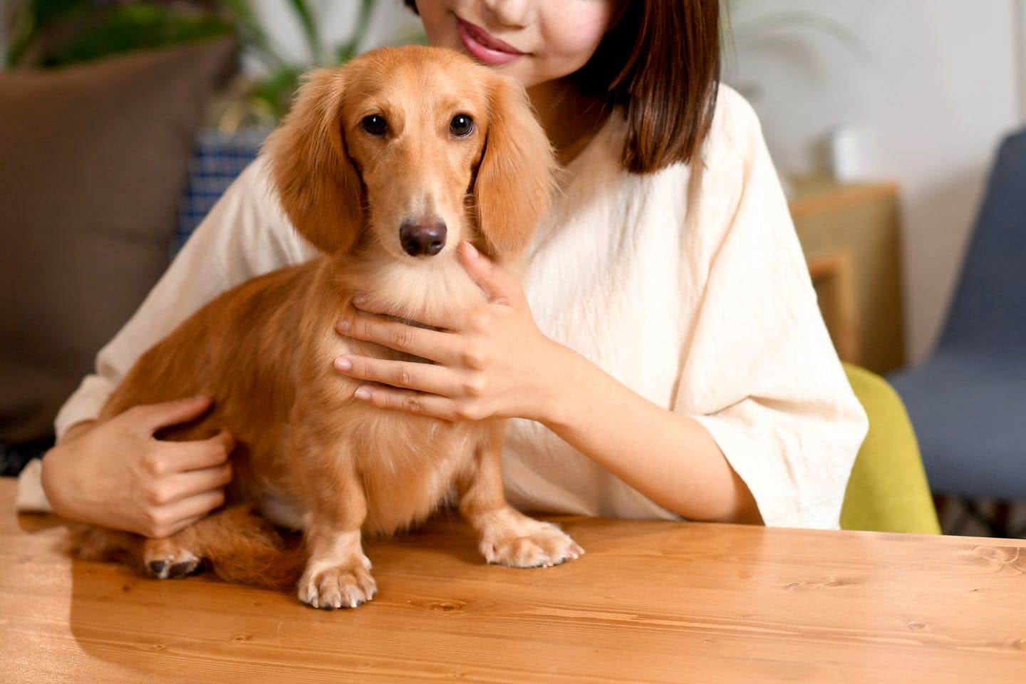 犬を飼ううえでの注意点