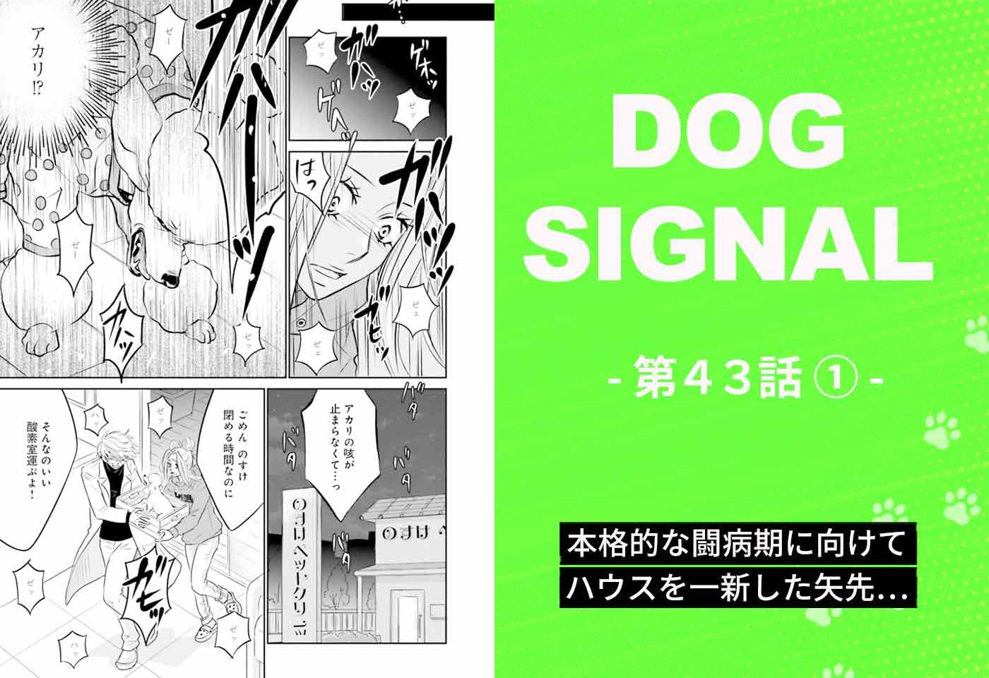 漫画『DOG SIGNAL（ドッグシグナル）』43話目1/4　愛犬・アカリの容体が急変