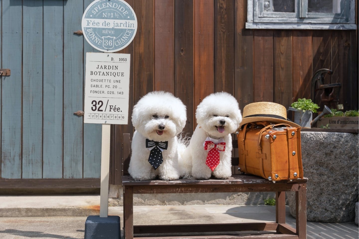 dogdiy_63_16