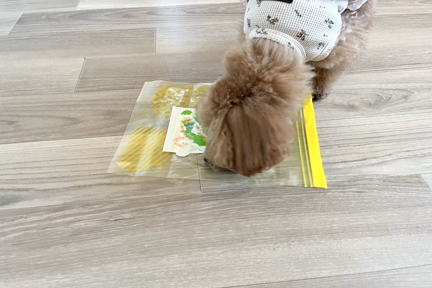 dogdiy_65_08 愛犬に袋に塗ったおやつを舐めさせる