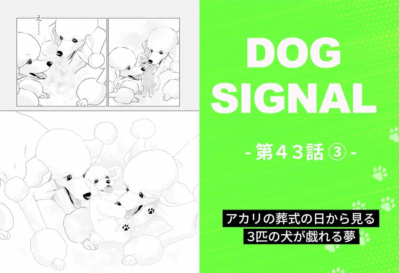 漫画『DOG SIGNAL（ドッグシグナル）』43話目3/4　犬たちが飼い主に望むこととは？