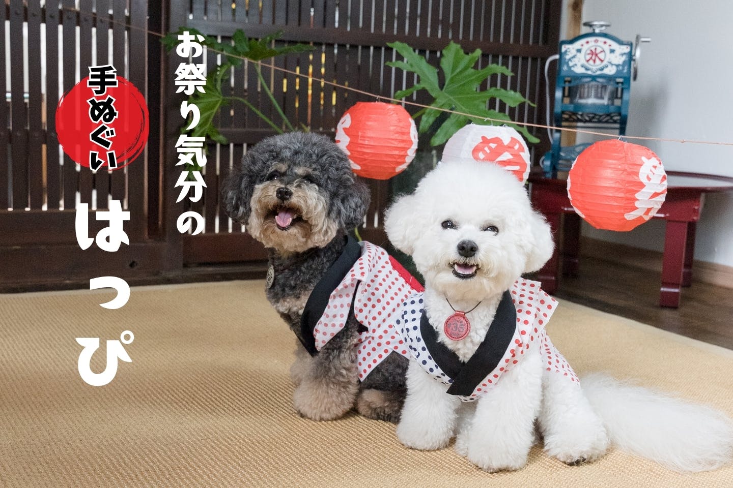 【ミシン・型紙不要】愛犬用 手ぬぐい法被（はっぴ）の作り方。簡単犬服でお祭り気分に！