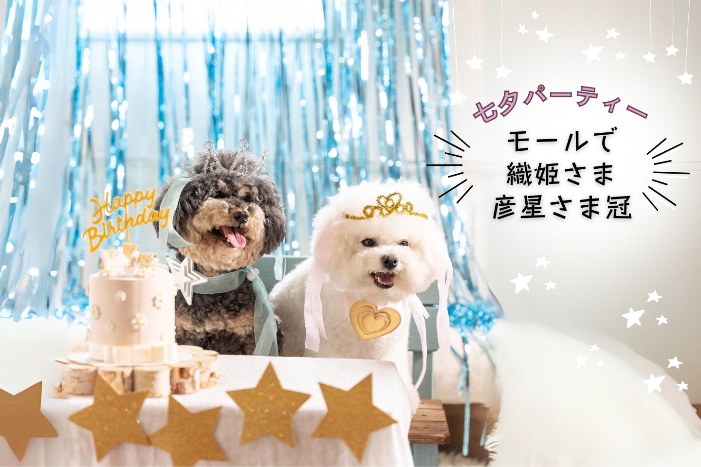 【愛犬と七夕パーティ】モールとリボンで作る、なりきり織姫さまと彦星さま（冠とチョーカー）