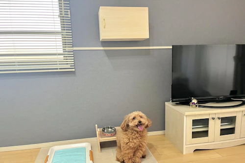 b8306dca-dogdiy_74_top.jpg? 