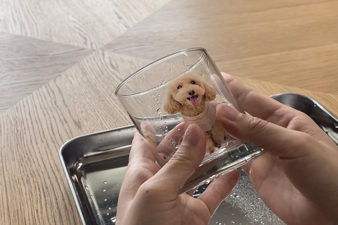 dogdiy_71_08 作成した溶液をスプレーで吹きかける