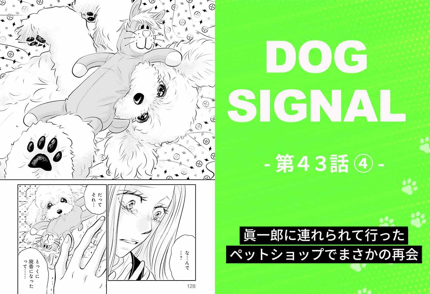 漫画『DOG SIGNAL（ドッグシグナル）』43話目4/4　ペットショップでまさかの再会