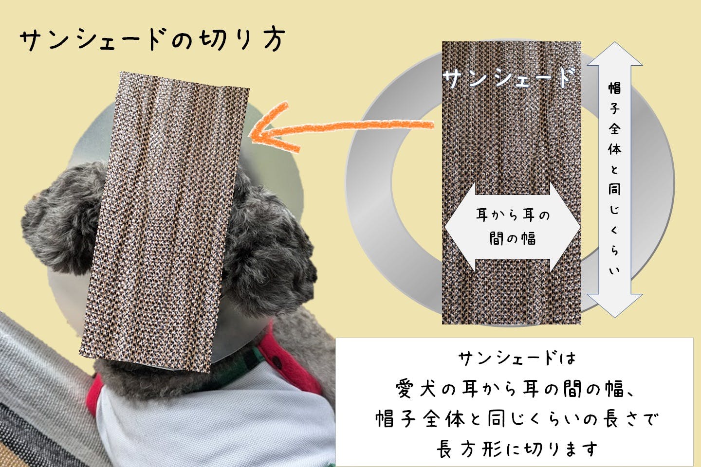 サンシェードを愛犬サイズにカットする