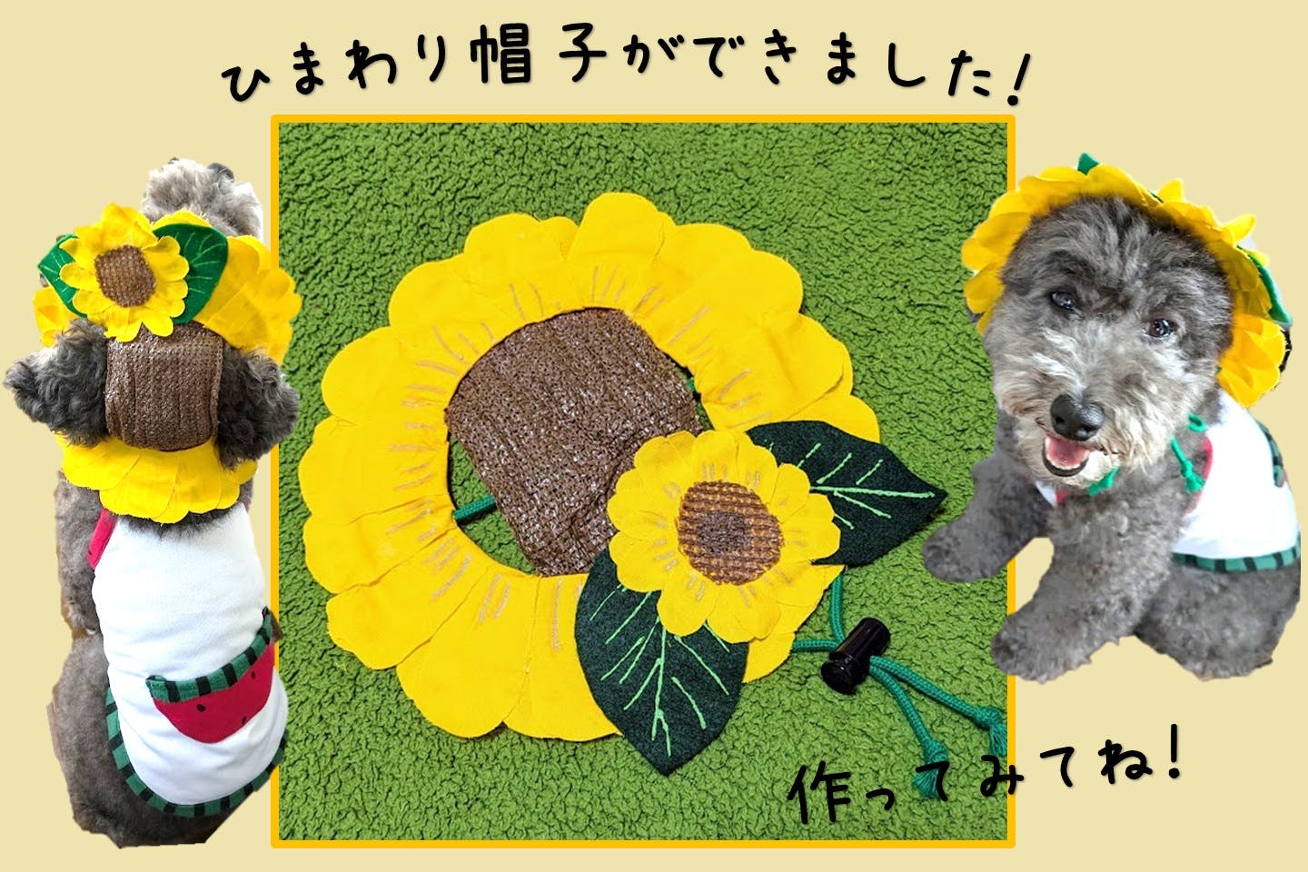 愛犬用ひまわり帽子　完成　着用画像