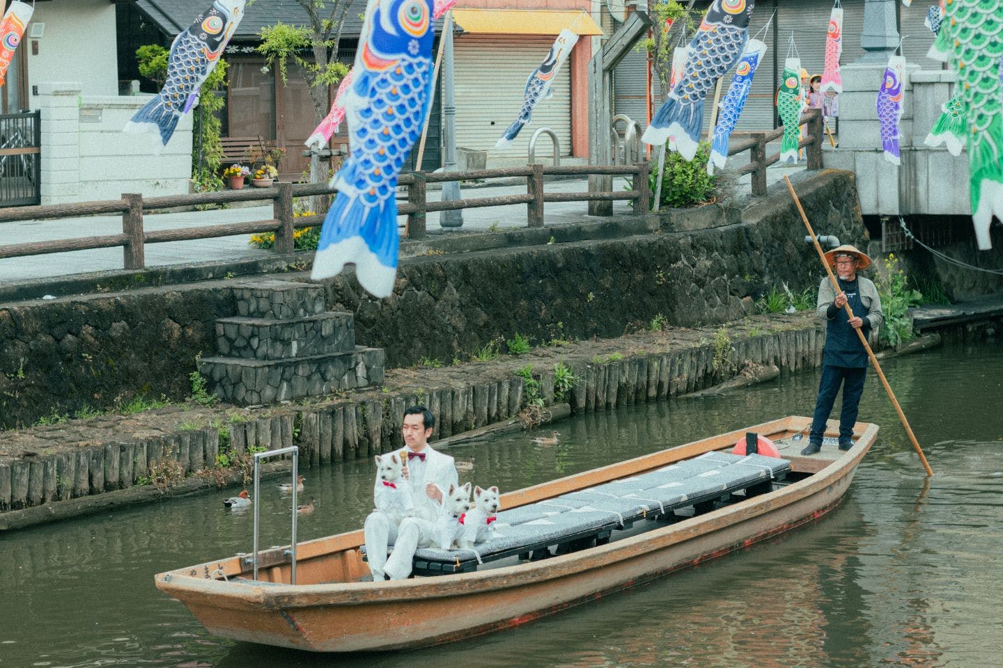 コーラス隊とコンサート会場に向かうムード歌謡歌手　ムーディ勝山　ウエスティ