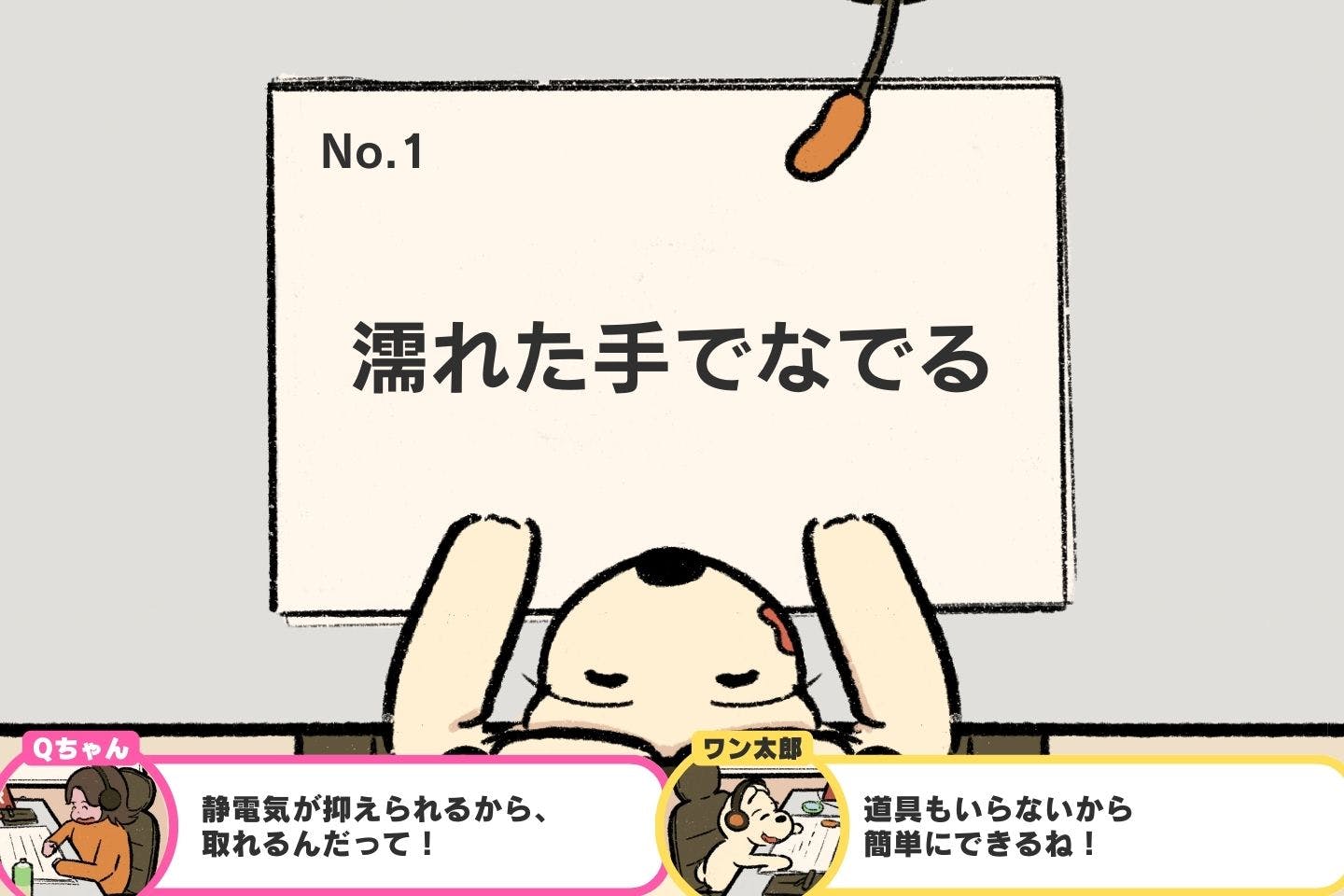 服についた犬の毛を取る方法《ドッグライフハックス#03》