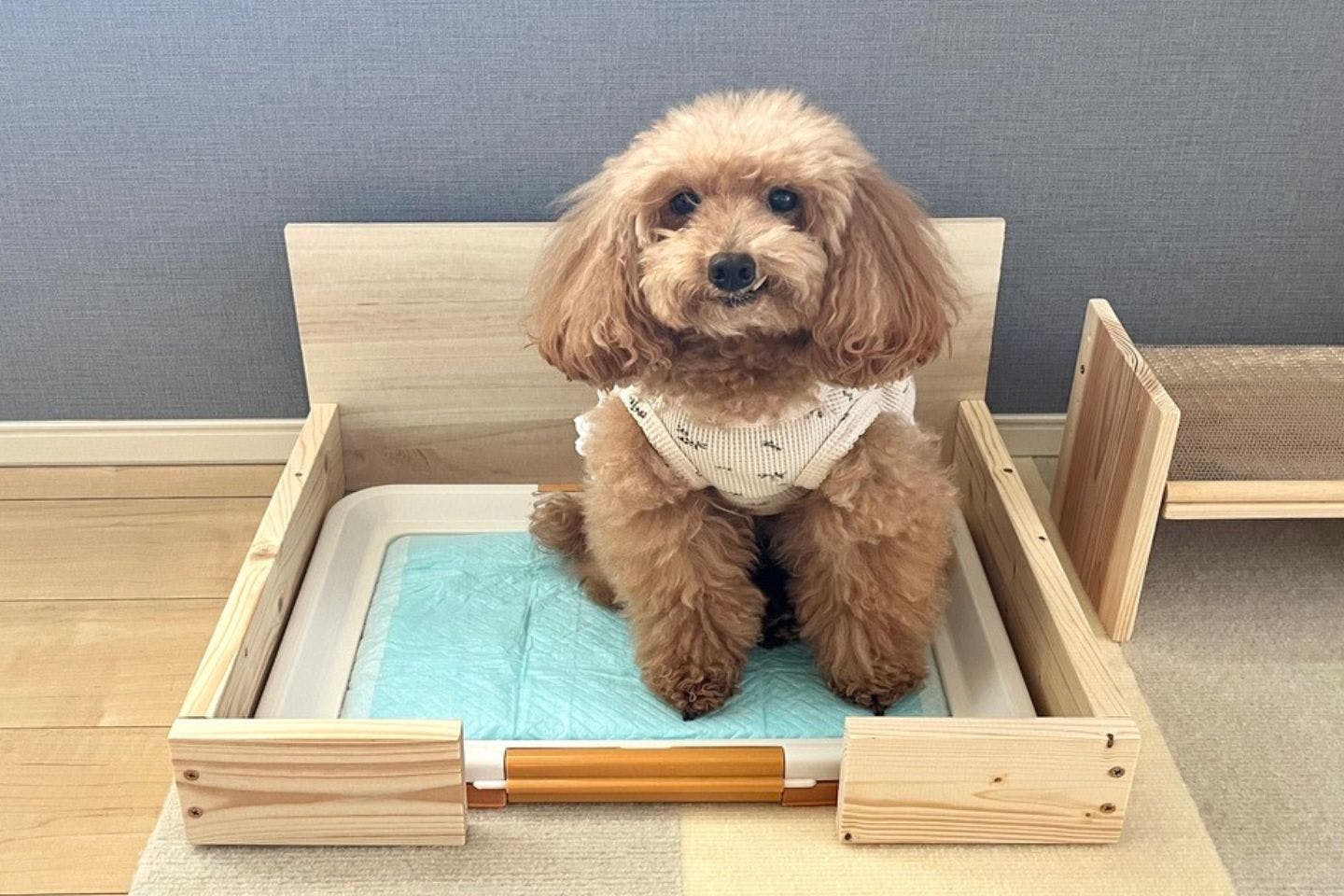 はみ出し防止・生活感の払拭に！ 愛犬のトイレカバーをカインズの木材で簡単DIY|ワンクォール