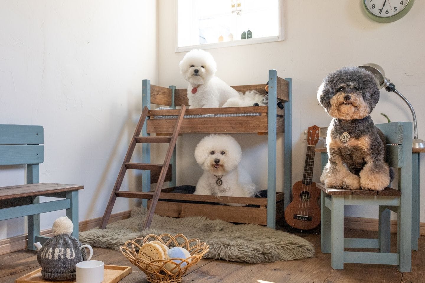 愛犬と添い寝できるペットベッド　二段ベッド