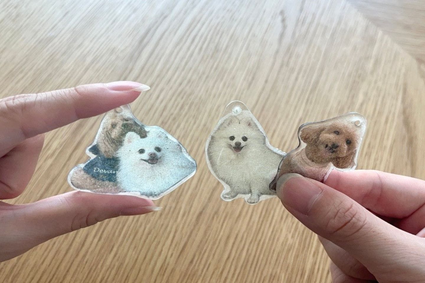 除光液でプラバンに簡単転写！ お家で作れる、愛犬写真のキーホルダー【カインズ愛犬DIY】