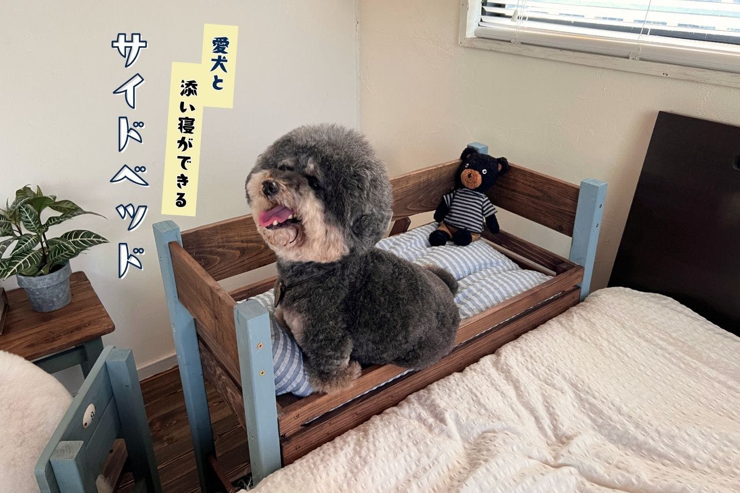 愛犬と添い寝ができるペットベッドを、カインズの木箱キットでDIY！ 多頭飼いなら二段ベッドでも|ワンクォール