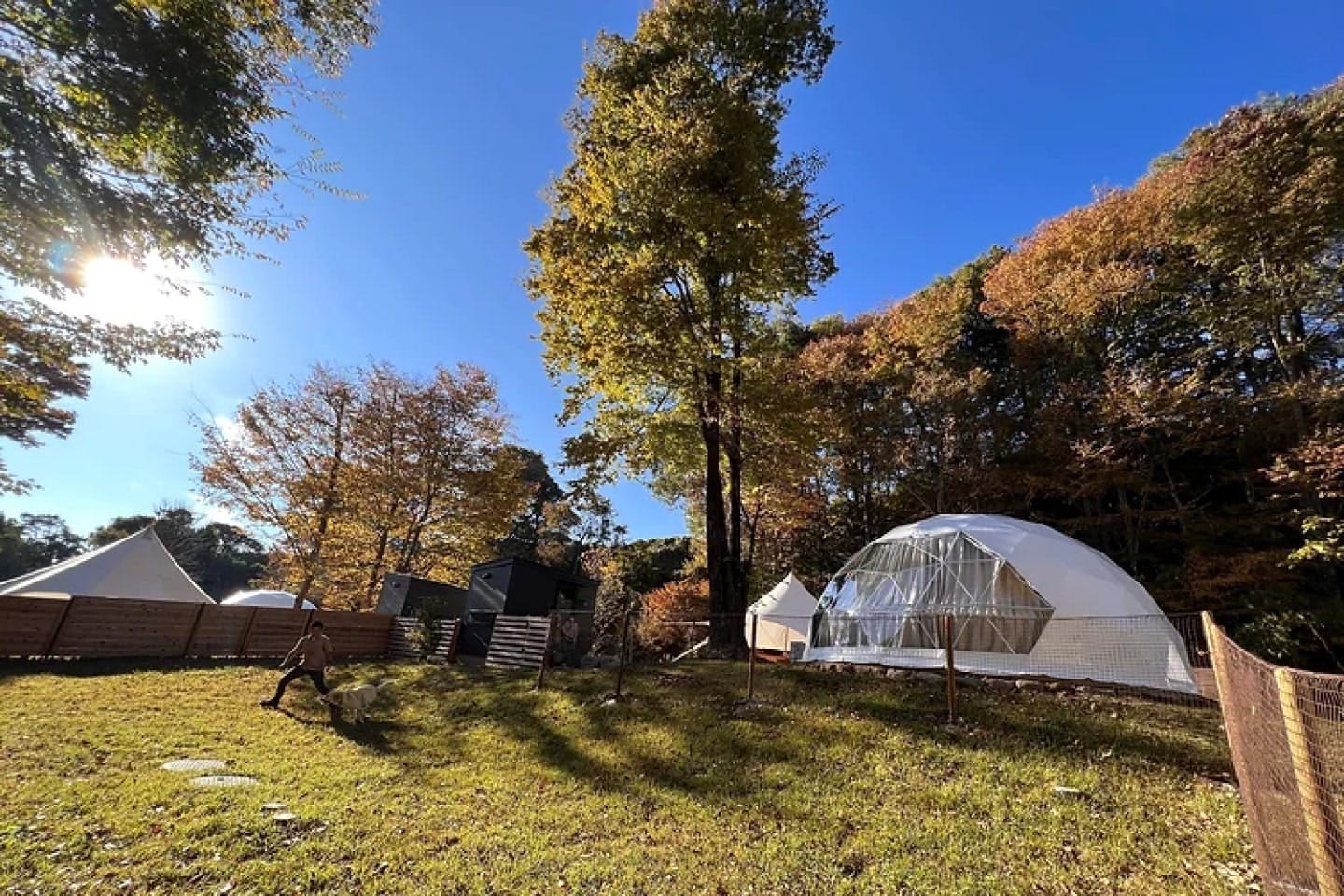 【関東・群馬県の犬連れグランピング】THE FIVE RIVERS FINE GLAMPING 群馬白沢