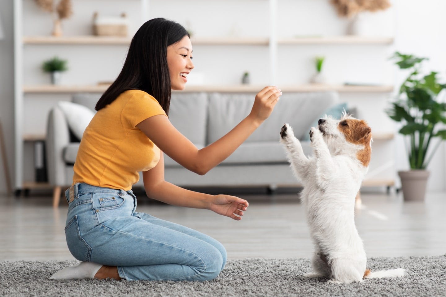 犬がキュンキュン鳴くときの対応