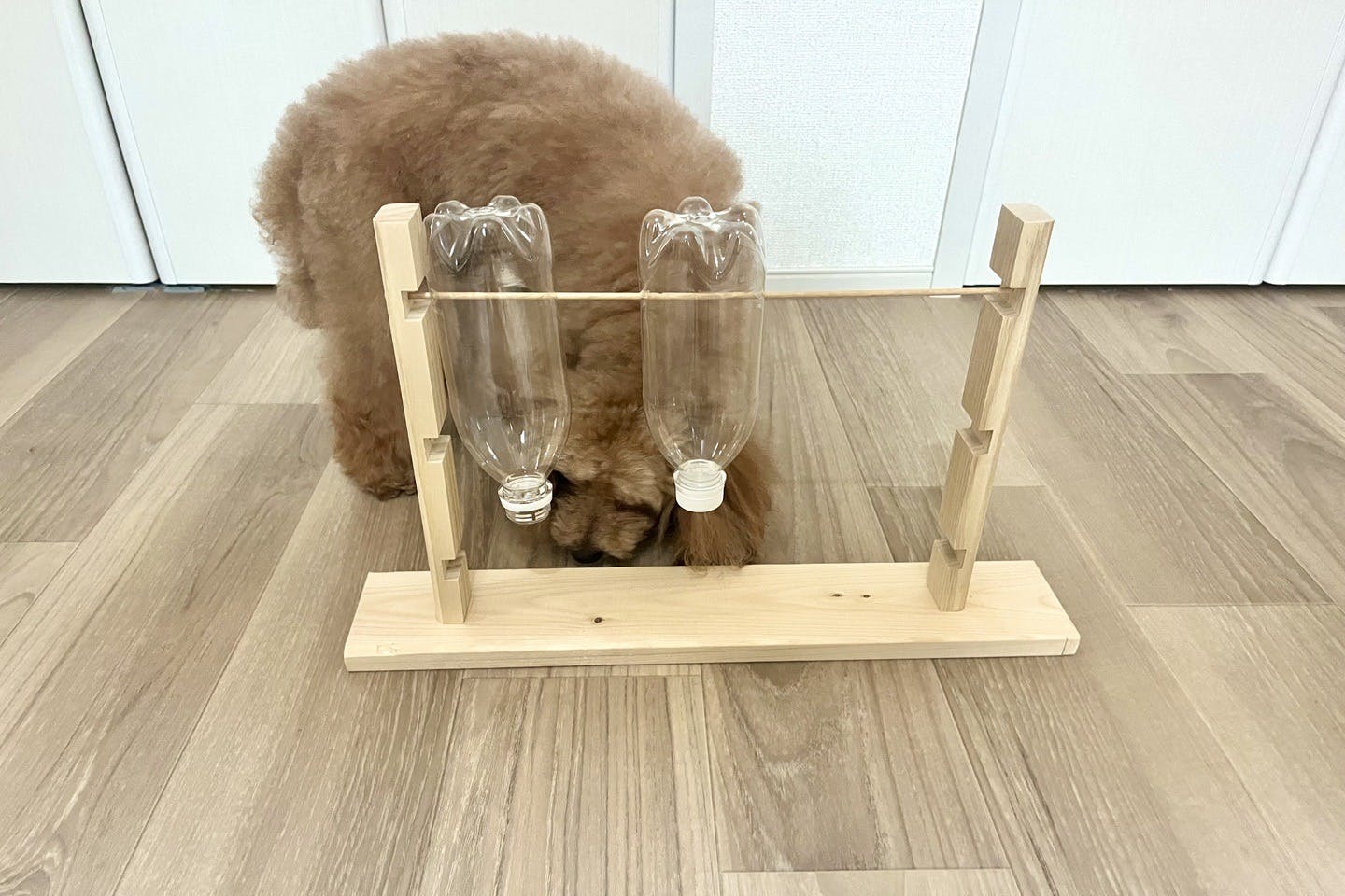 【使用イメージ】愛犬とペットボトル回転おもちゃ（知育玩具）で遊んでみた！